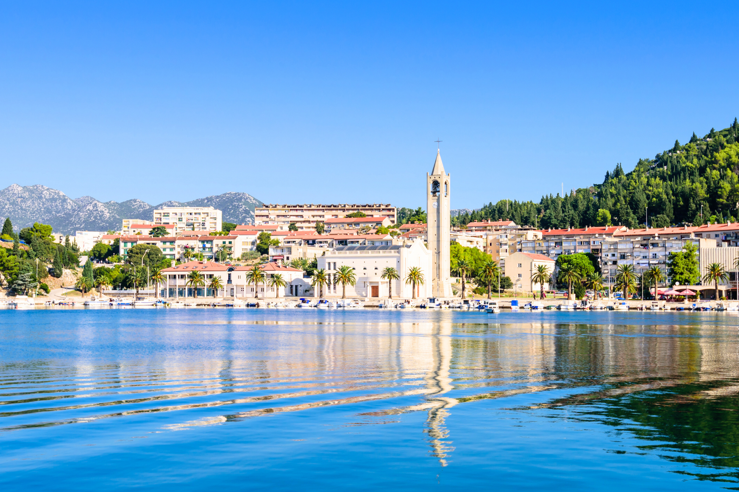 96 ploce.webp